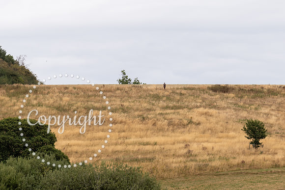 20260816 - North Yorkshire Grand Prix-338