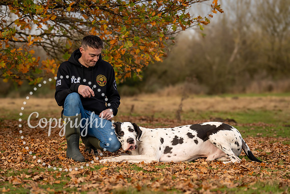 20241117 - (Great Dane) Zane-51