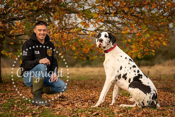 20241117 - (Great Dane) Zane-55