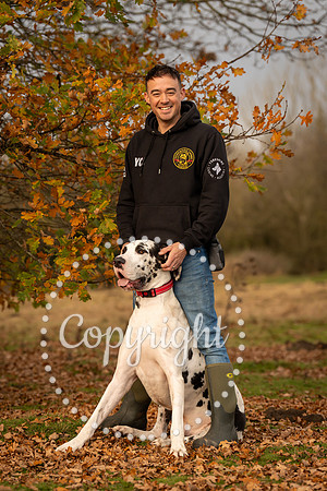 20241117 - (Great Dane) Zane-49