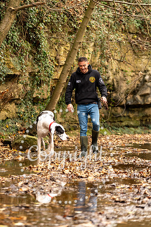 20241117 - (Great Dane) Zane-76
