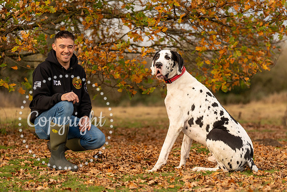 20241117 - (Great Dane) Zane-54