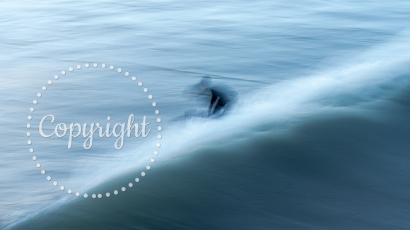 20241227 - Saltburn Surfers-42
