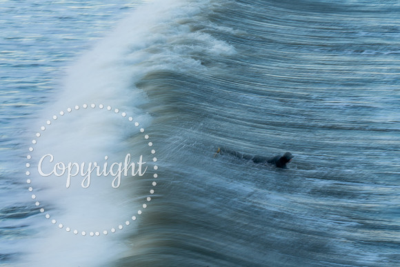 20241227 - Saltburn Surfers-39