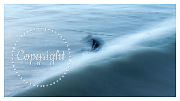 20241227 - Saltburn Surfers-41