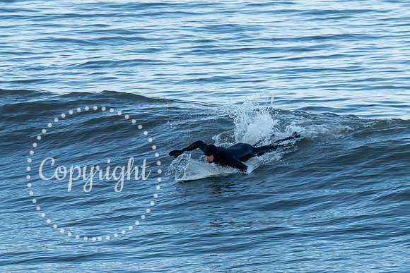 20241227 - Saltburn Surfers-51